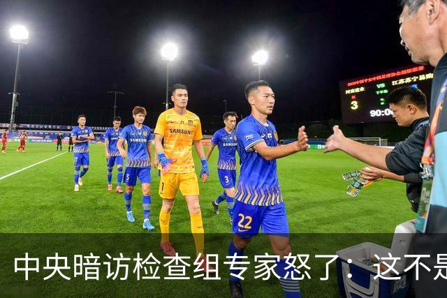 中央暗访检查组专家怒了：这不是开玩笑吗？