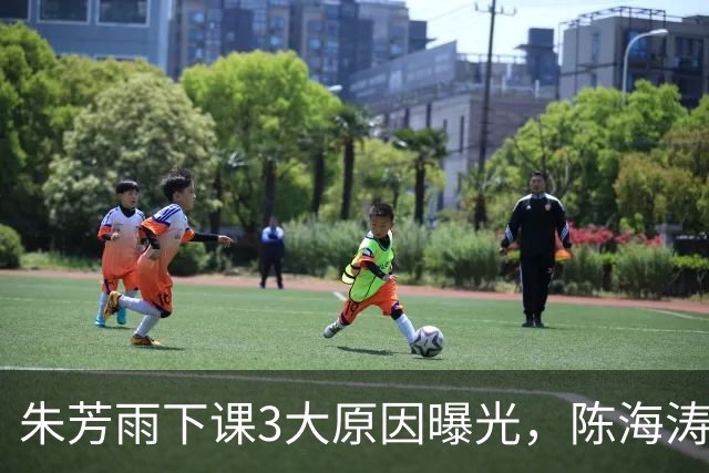 朱芳雨下课3大原因曝光，陈海涛忍无可忍，儿子陈浩峰接任总经理