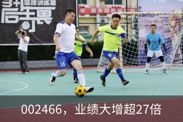 002466，业绩大增超27倍